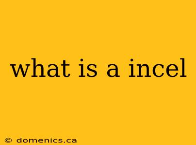 what is a incel