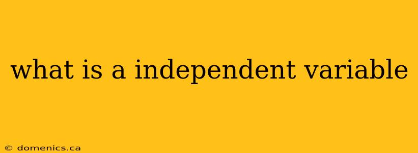 what is a independent variable