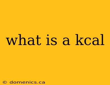 what is a kcal