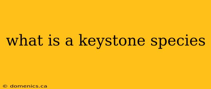 what is a keystone species