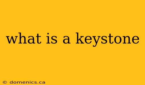 what is a keystone