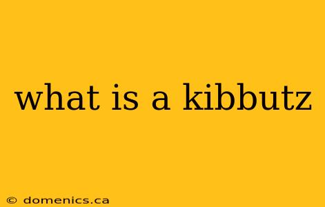 what is a kibbutz