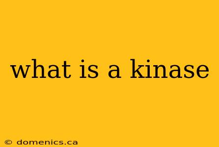 what is a kinase