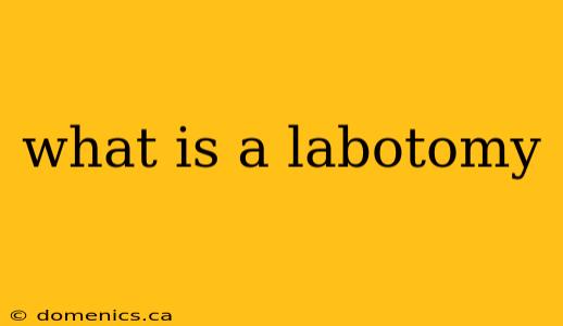 what is a labotomy