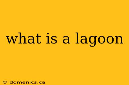 what is a lagoon