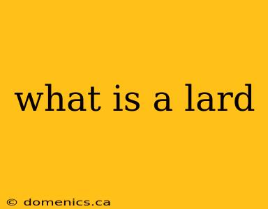 what is a lard