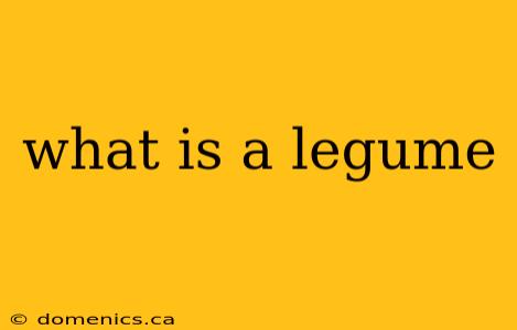 what is a legume