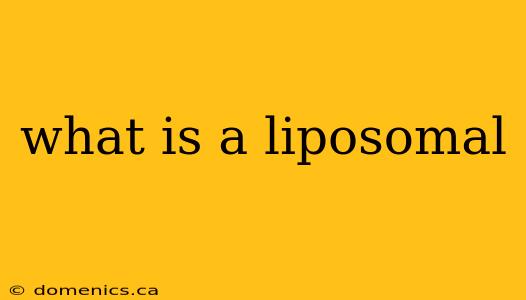 what is a liposomal