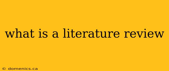 what is a literature review