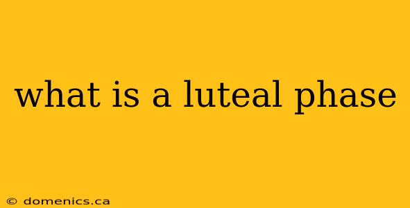 what is a luteal phase