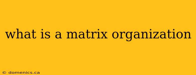 what is a matrix organization