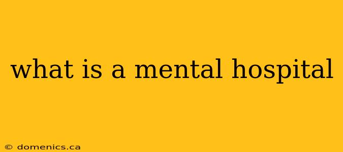 what is a mental hospital