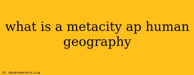 what is a metacity ap human geography