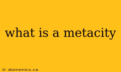 what is a metacity