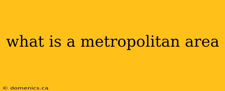 what is a metropolitan area