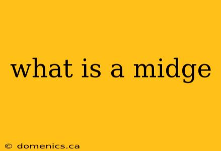 what is a midge