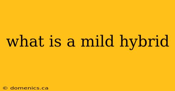 what is a mild hybrid