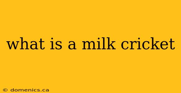 what is a milk cricket