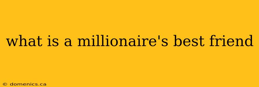 what is a millionaire's best friend