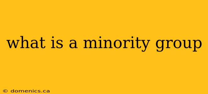 what is a minority group