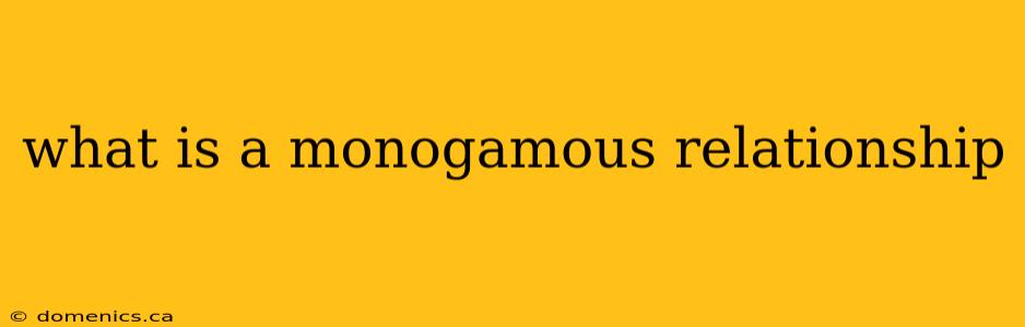 what is a monogamous relationship