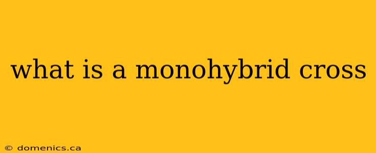 what is a monohybrid cross