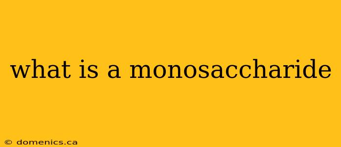 what is a monosaccharide