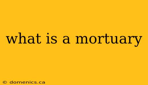 what is a mortuary