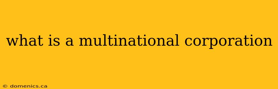 what is a multinational corporation