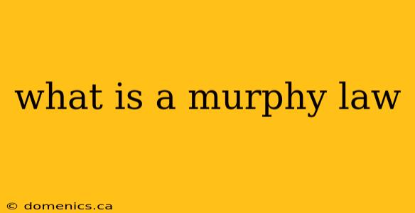 what is a murphy law