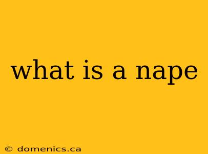 what is a nape