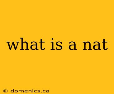 what is a nat