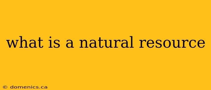 what is a natural resource