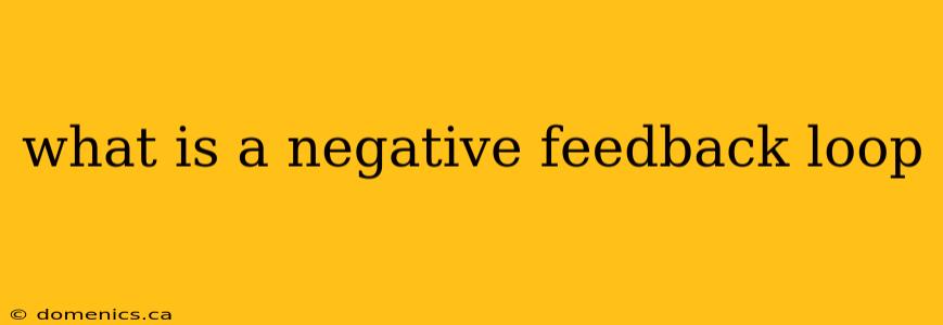 what is a negative feedback loop