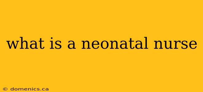 what is a neonatal nurse