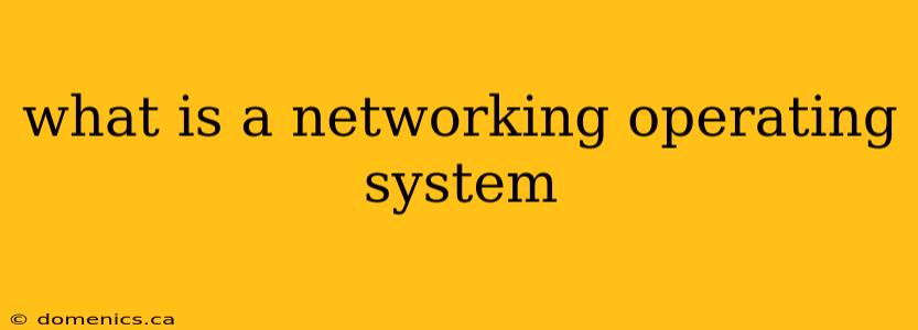 what is a networking operating system