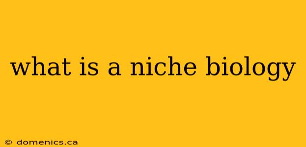 what is a niche biology