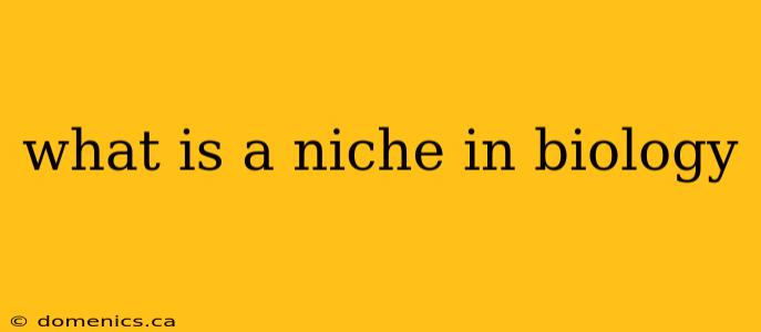 what is a niche in biology