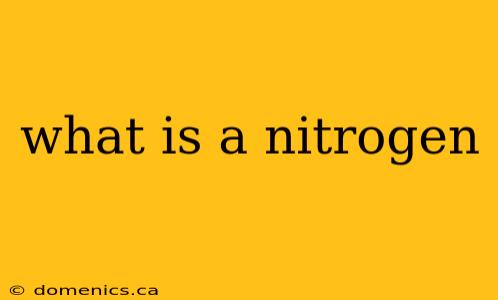 what is a nitrogen