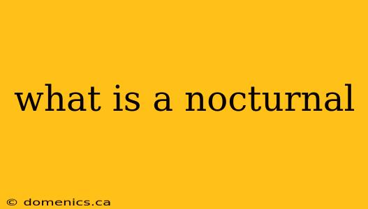 what is a nocturnal