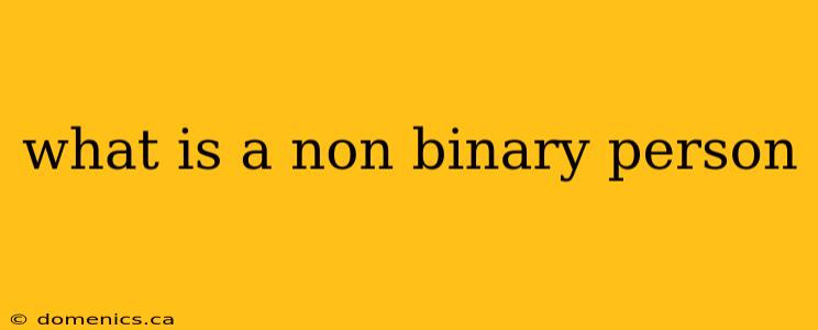 what is a non binary person