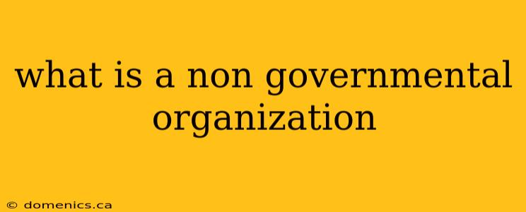 what is a non governmental organization