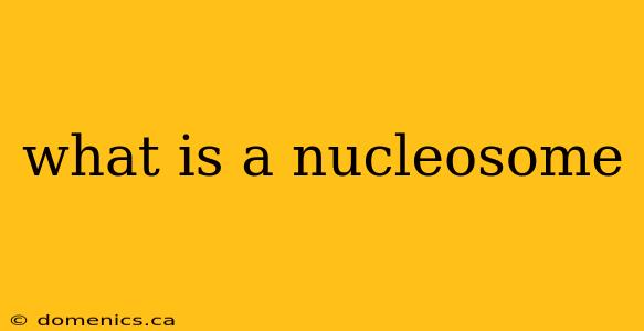 what is a nucleosome