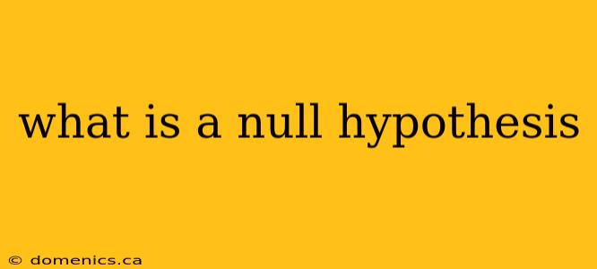 what is a null hypothesis