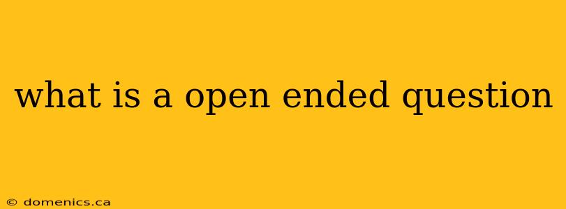 what is a open ended question