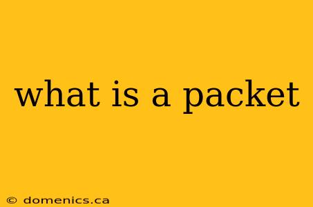 what is a packet