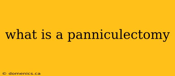 what is a panniculectomy