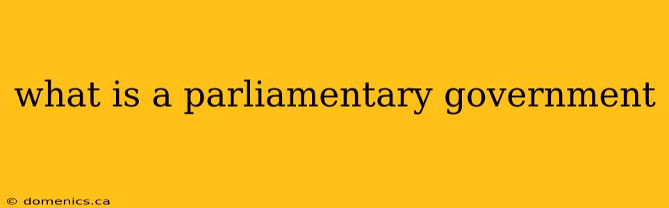 what is a parliamentary government