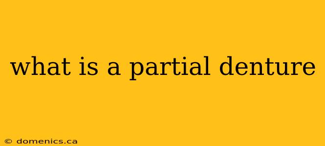 what is a partial denture