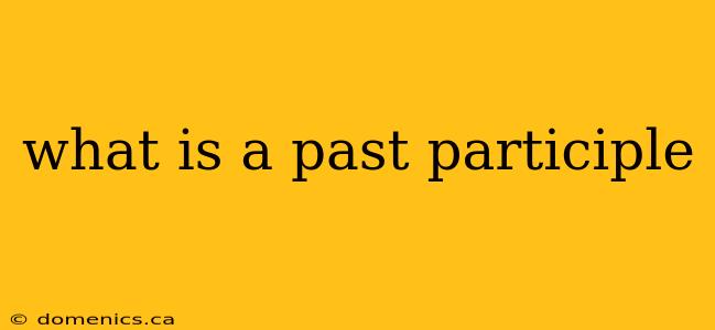 what is a past participle